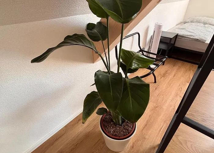 Style Loft Mit Ausblick In Apartment