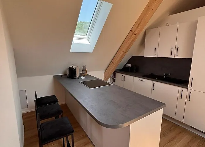 Style Loft Mit Ausblick In * Elzach